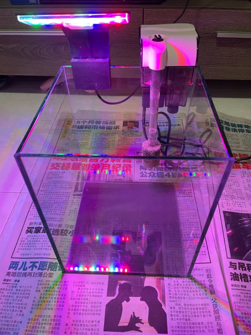 Nano tank basic setup pet supplies homes other pet accessories on