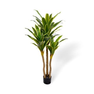 (Category: ) located in . Submitted by altonflowerscomm (Listing ID 1188477435, Image 1). Description: .