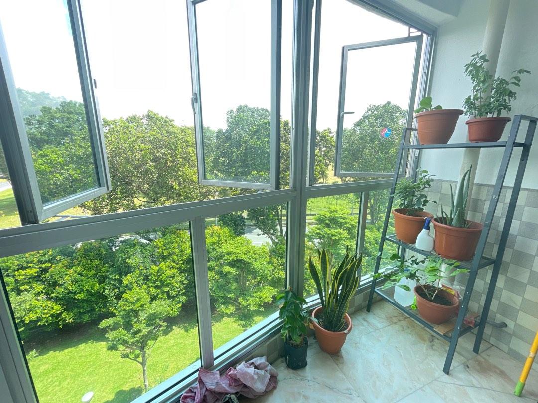Ang Mo Kio Room For Rent No Agent Fee Property Rentals HDB On ang-mo-kio-room-for-rent-no-agent-fee-property-rentals-hdb-on
