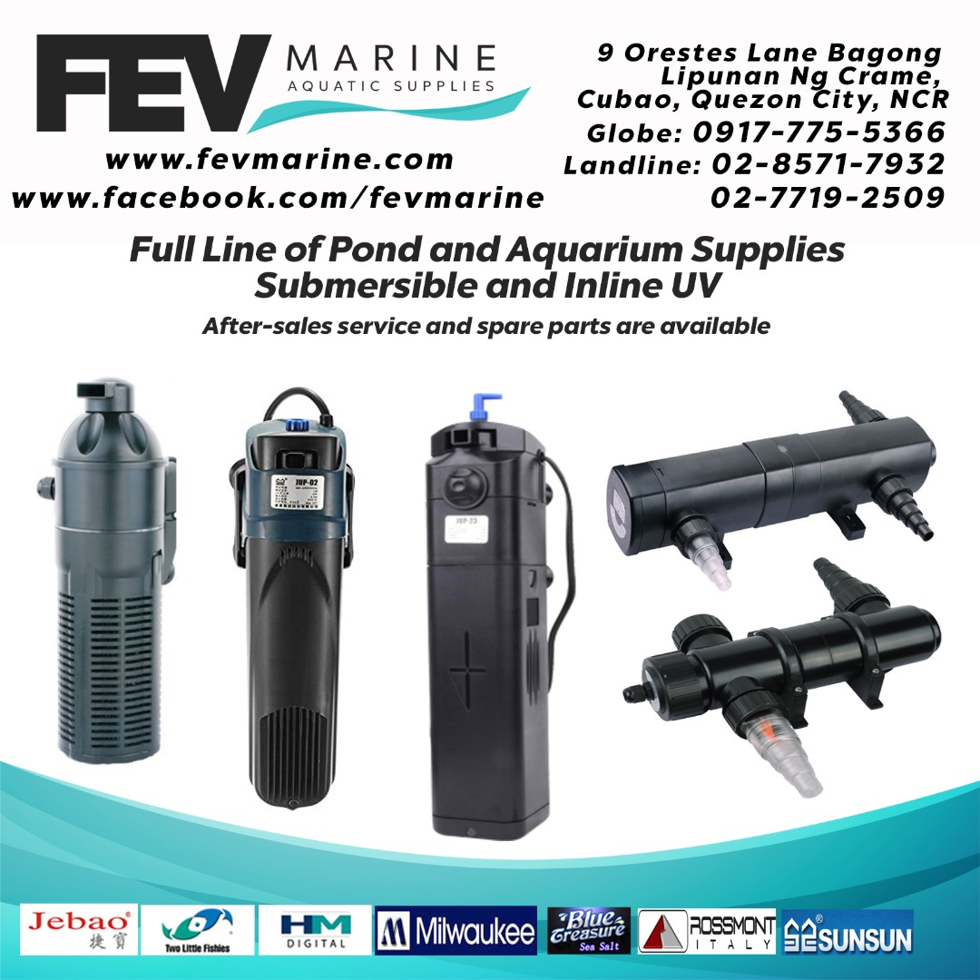 Submersible Inline UV Filter Clarifier with Pump for Aquarium or Pond ...