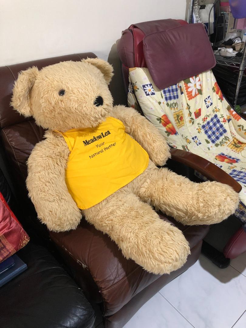 Teddy Bear (Limited Edition), Hobbies & Toys, Toys & Games on Carousell