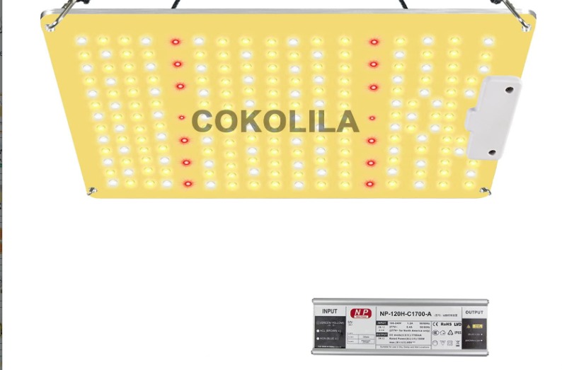 COKOLILA LED-Wachstumslicht 1200W – Vollspektrum, COB-Dual-Reflektoren, Daisy-Chain-Funktion