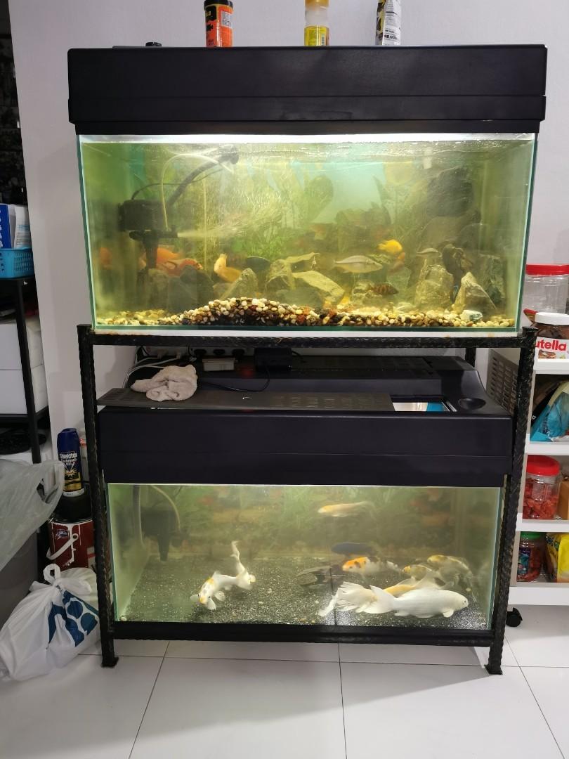 3ft fish tank with stand, Pet Supplies, Homes & Other Pet Accessories