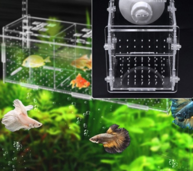 Aquarium Fish Breeding Isolation Box Fish Baby Fish Tank Incubator