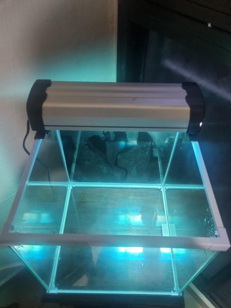 Fish Tank Set (Tank,light andFilter), Pet Supplies, Homes & Other Pet