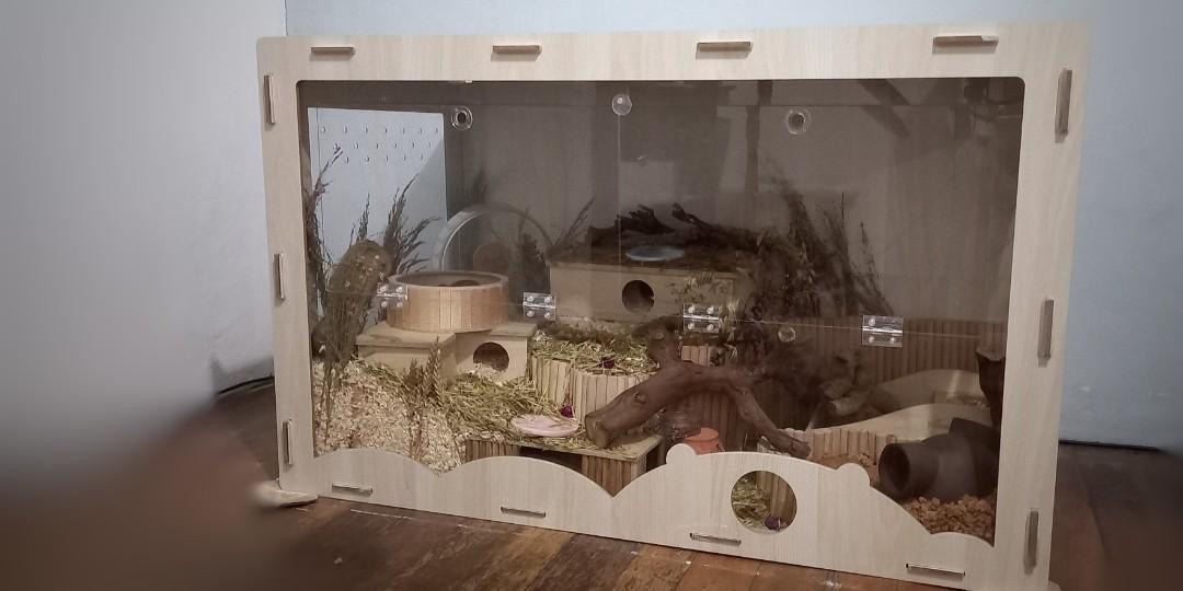Hamster Enclosure, Pet Supplies, Homes & Other Pet Accessories on Carousell
