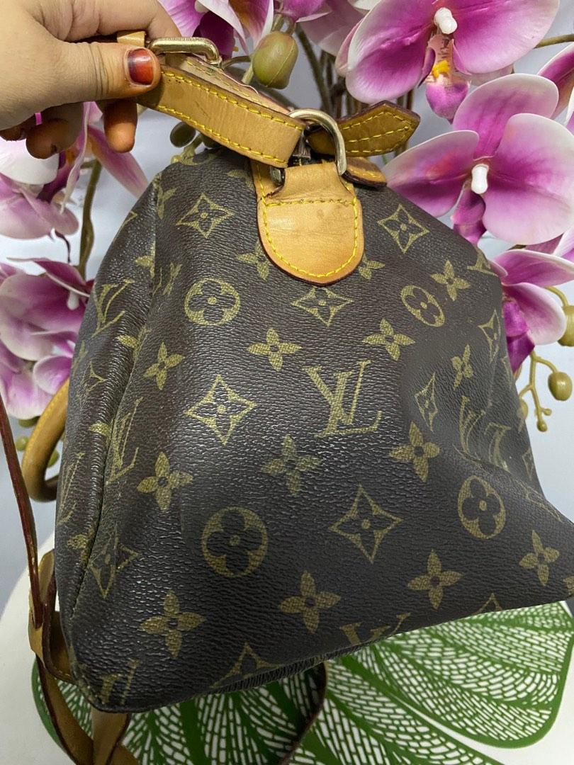 LOUIS VUITTON Limited Edition Monogram Canvas Sofia Coppola Bag OFFER  FASTPYMT, Luxury, Bags & Wallets on Carousell