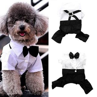 (Category: ) located in . Submitted by dressing_pretty22 (Listing ID 1193689409, Image 1). Description: .
