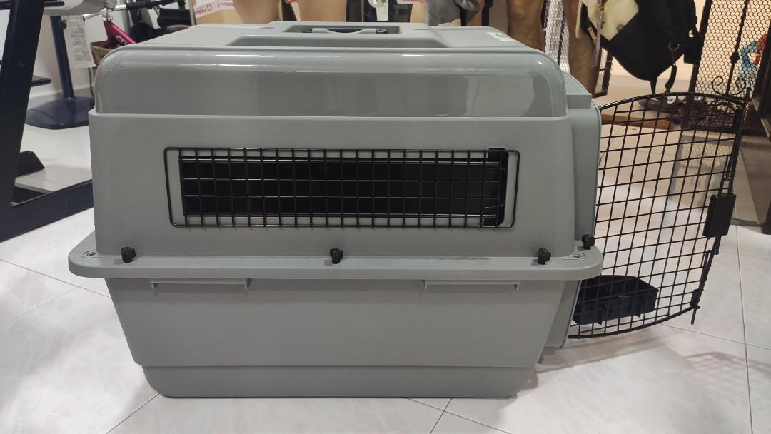 Petmate dog cat crate, Pet Supplies, Homes & Other Pet Accessories on