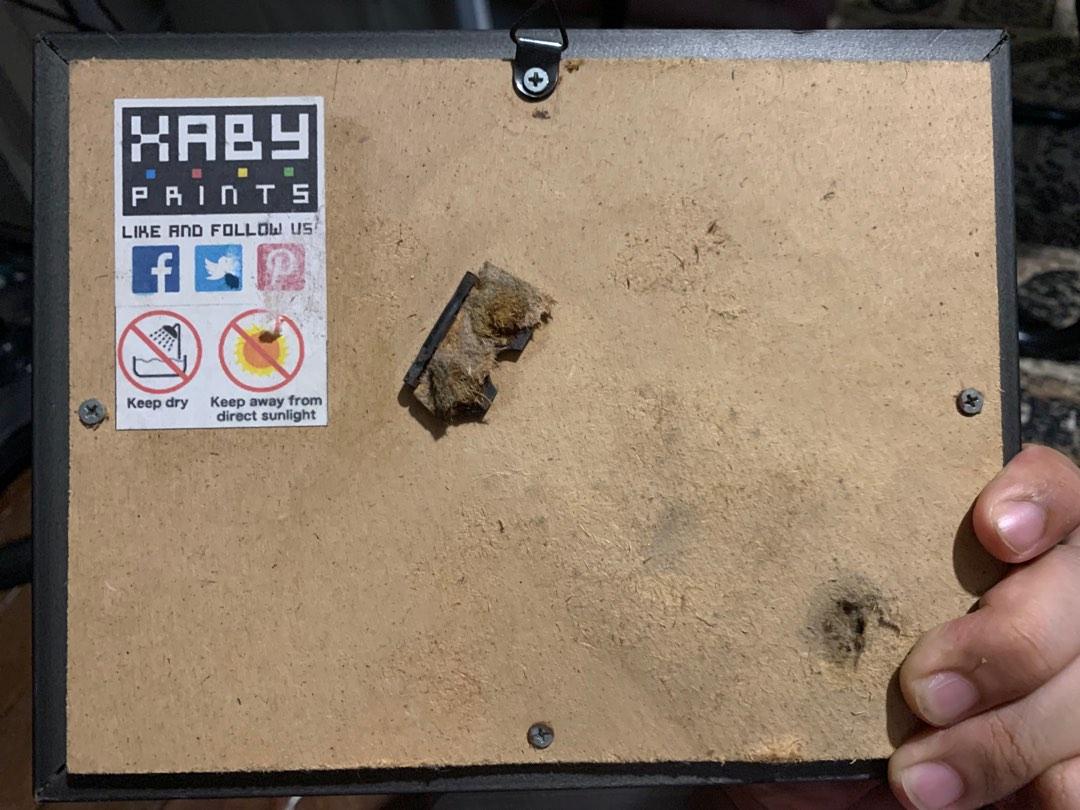 Pokemon Gen 1 starters pixel art, Hobbies & Toys, Stationary & Craft