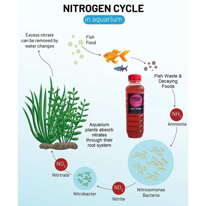 PSB live bacteria for freshwater / saltwater aquarium-500ml MMZ1878 ...