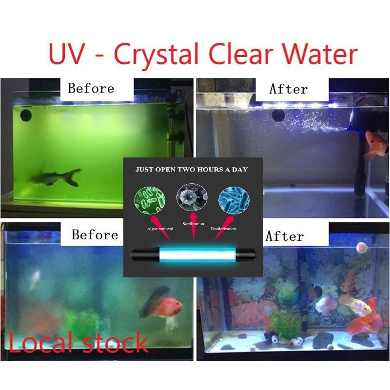 UV sterilizer aquarium to get rid of milky water, bacteria, algae, and other nuisances like Ich