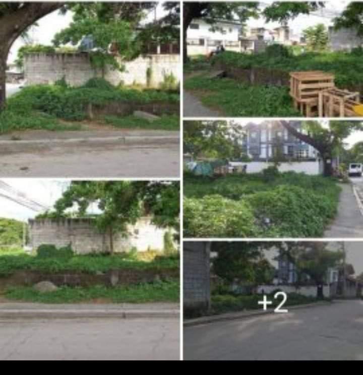 Vista Verde Executive Village, Valenzuela City Lot For Sale, Property