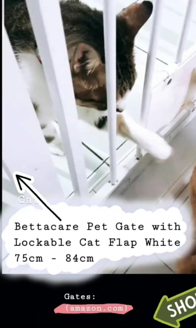 Bettacare child store and pet gate