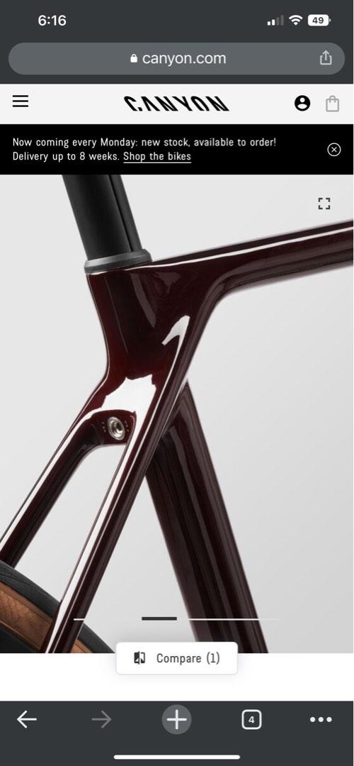 Canyon endurace red tinted 2025