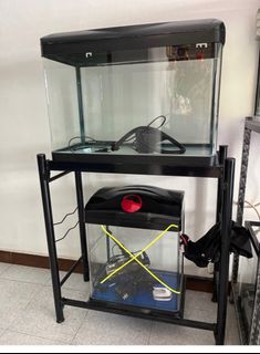 (Category: ) located in . Submitted by maylhs (Listing ID 1193838618, Image 1). Description: .