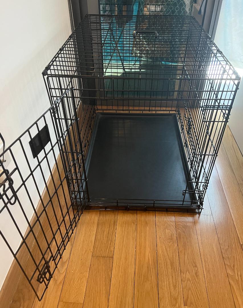 Midwest life stages double outlet door folding metal dog crate