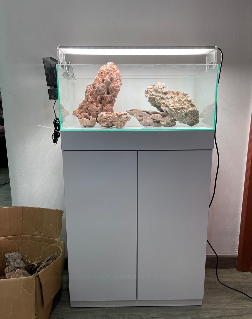 Free delivery!! Aquarium set, Pet Supplies, Homes & Other Pet