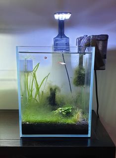 (Category: ) located in . Submitted by tkw98 (Listing ID 1193941619, Image 1). Description: .