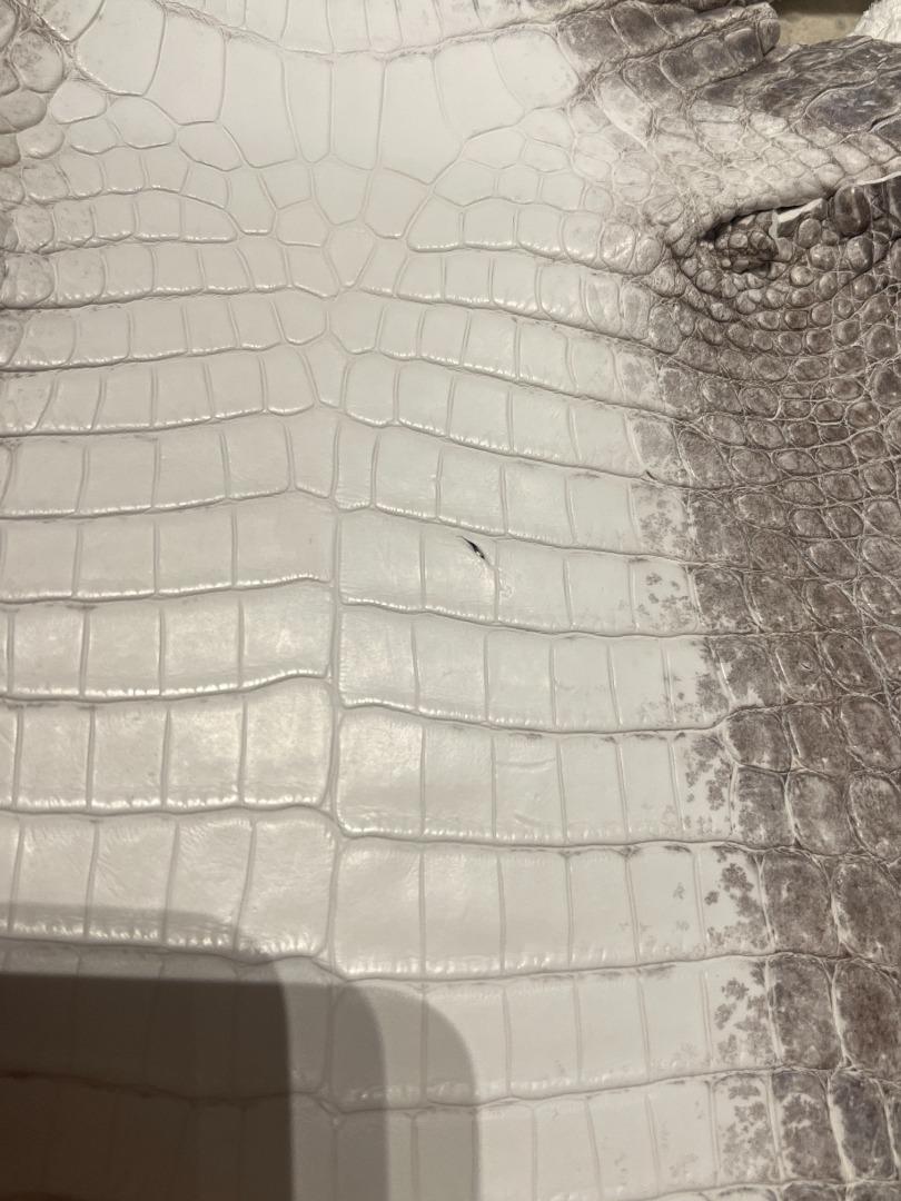Himalayan Crocodile Leather Leathercraft Croc Alligator
