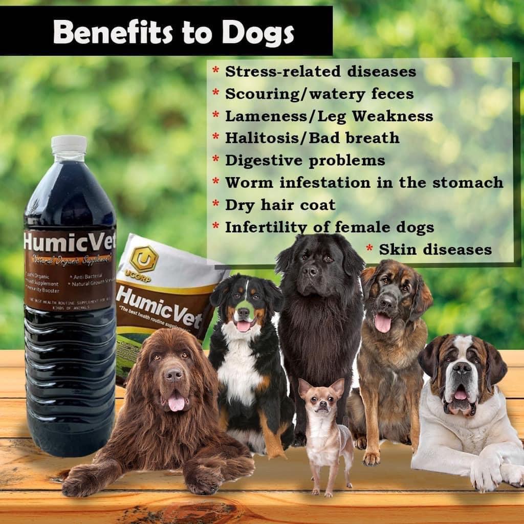 Humic Vet, Pet Supplies, Pet Food on Carousell