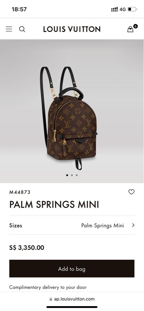 My Louis Vuitton Palm Springs Backpack Mini Review  Mia Mia Mine