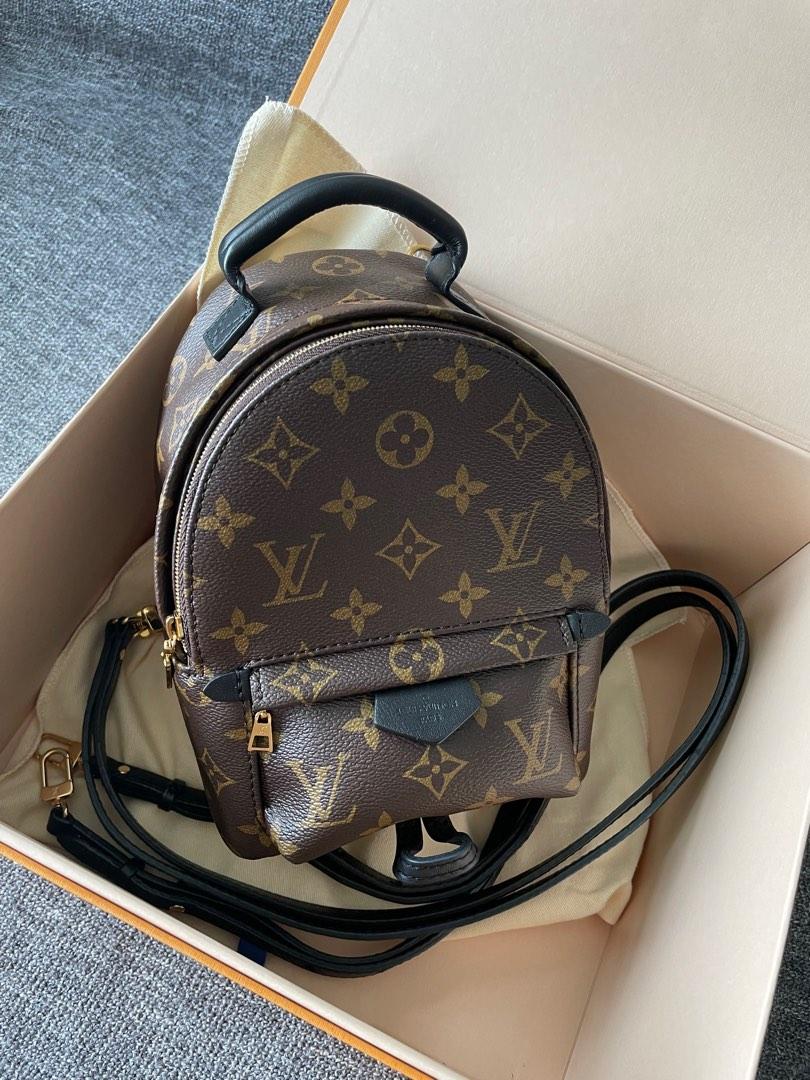 LOUIS VUITTON Palm Spring Mini Backpack Review (What Fits Inside, How to  Wear, Durability + more!) 