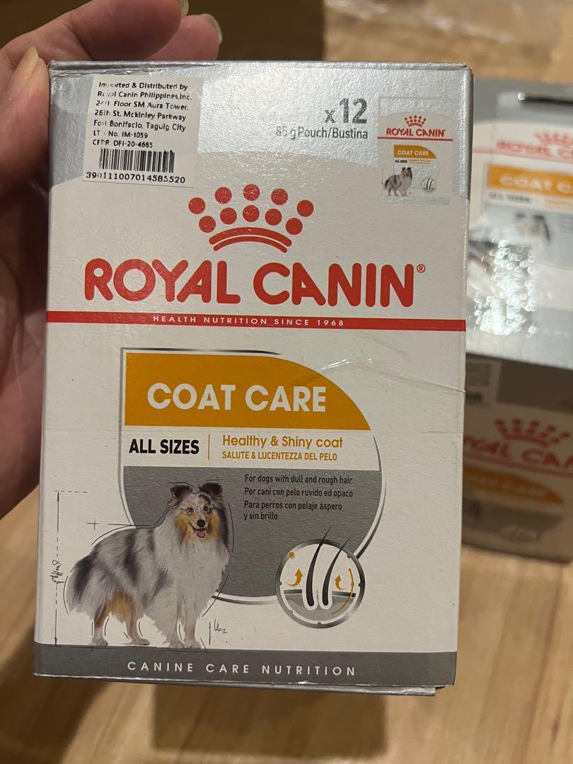 ROYAL CANIN coat care wet food, Pet Supplies, Pet Food on Carousell