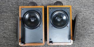 Very Rare vintage B&W DM17