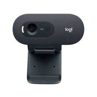 100%全新 🌟香港行貨 門市現貨⭐Logitech - C505 HD 720P WebCam 高清網路攝影機630115692389141118