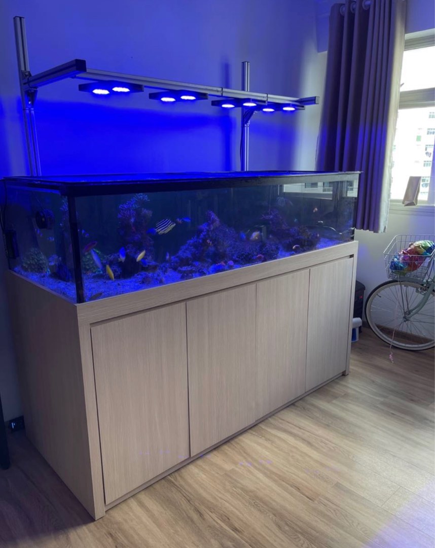 6ft fish tank, Pet Supplies, Homes & Other Pet Accessories on Carousell