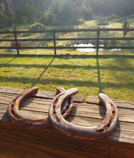 Buy used cheap horseshoes in bulk