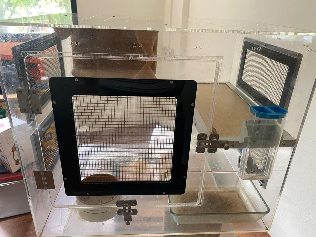 Chinchilla acrylic online cage