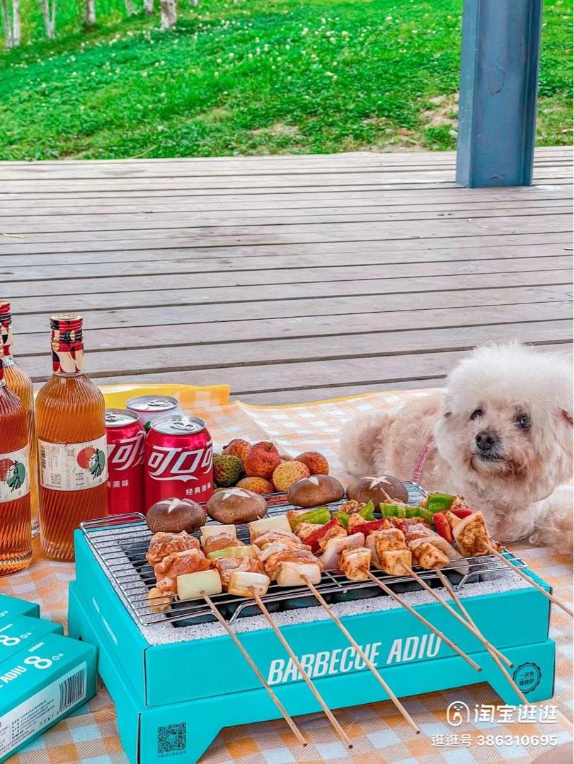 Disposable BBQ Pit/Instant BBQ Pit Large Set, TV & Home Appliances