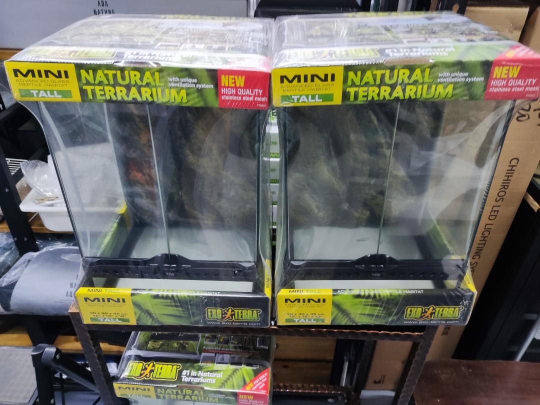 Exo Terra Terrarium Tank Mini Tall 30x30x45cm, Pet Supplies, Homes