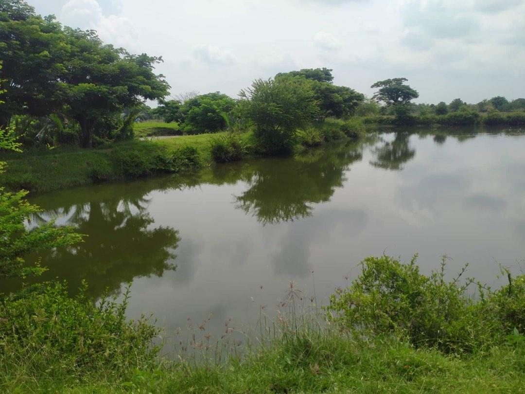Farm lot and Fish pond Near in main road Lingayen Pangasinan, Property