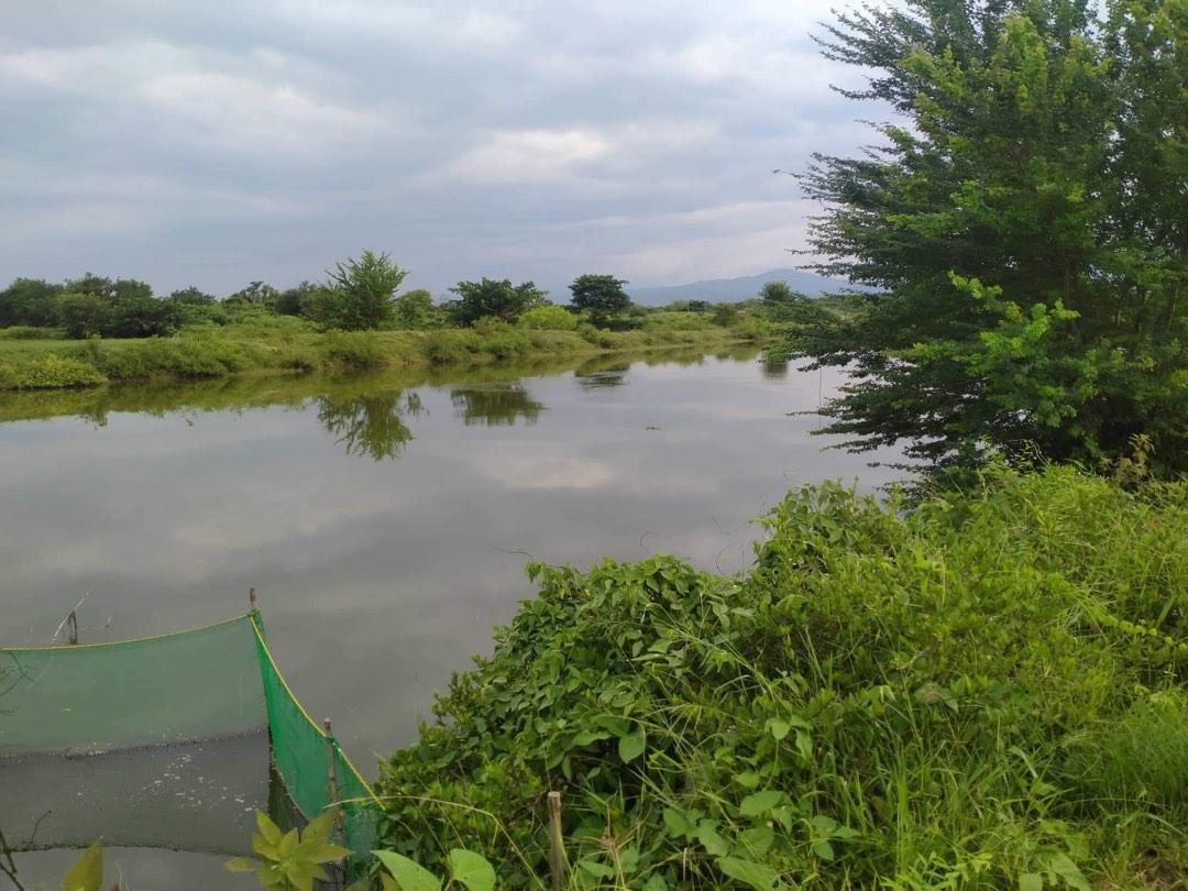 Farm lot and Fish pond Near in main road Lingayen Pangasinan, Property