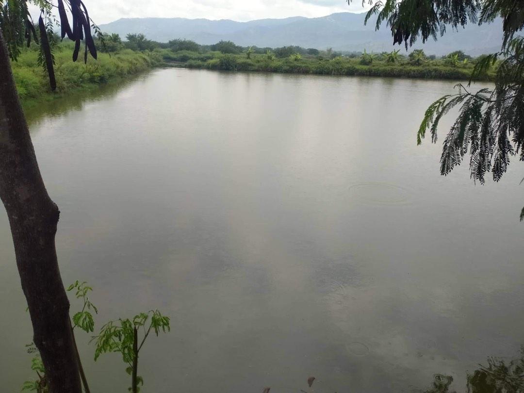 Farm lot and Fish pond Near in main road Lingayen Pangasinan, Property
