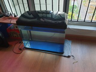 (Category: ) located in . Submitted by friedrice2012 (Listing ID 1188744511, Image 1). Description: .