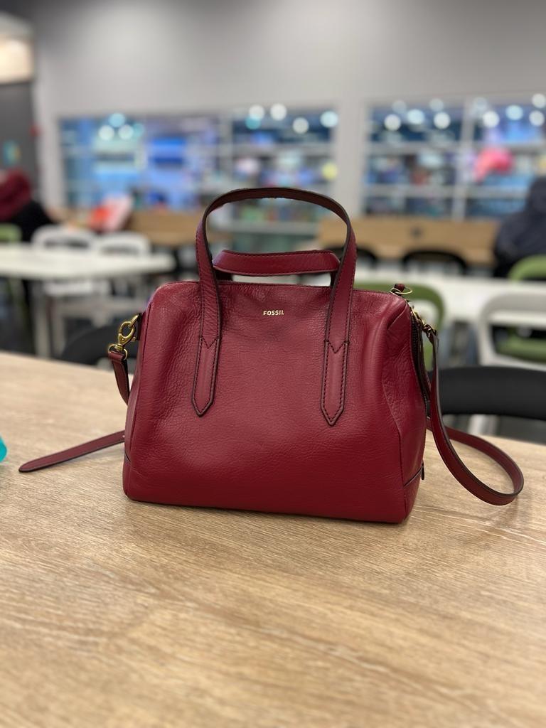 Fossil sydney hot sale satchel red