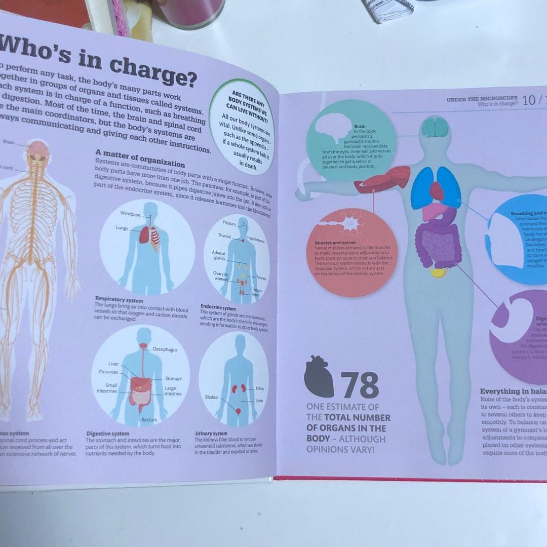 How The Body Works, Hobbies & Toys, Books & Magazines, Assessment Books ...