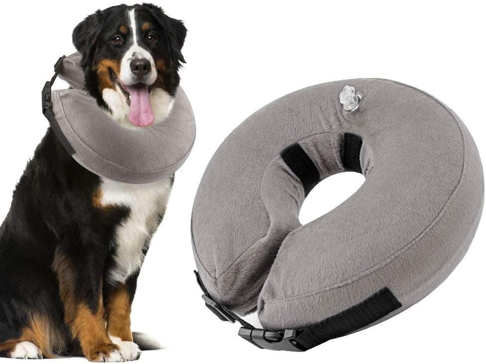 Blow up pet cone sales