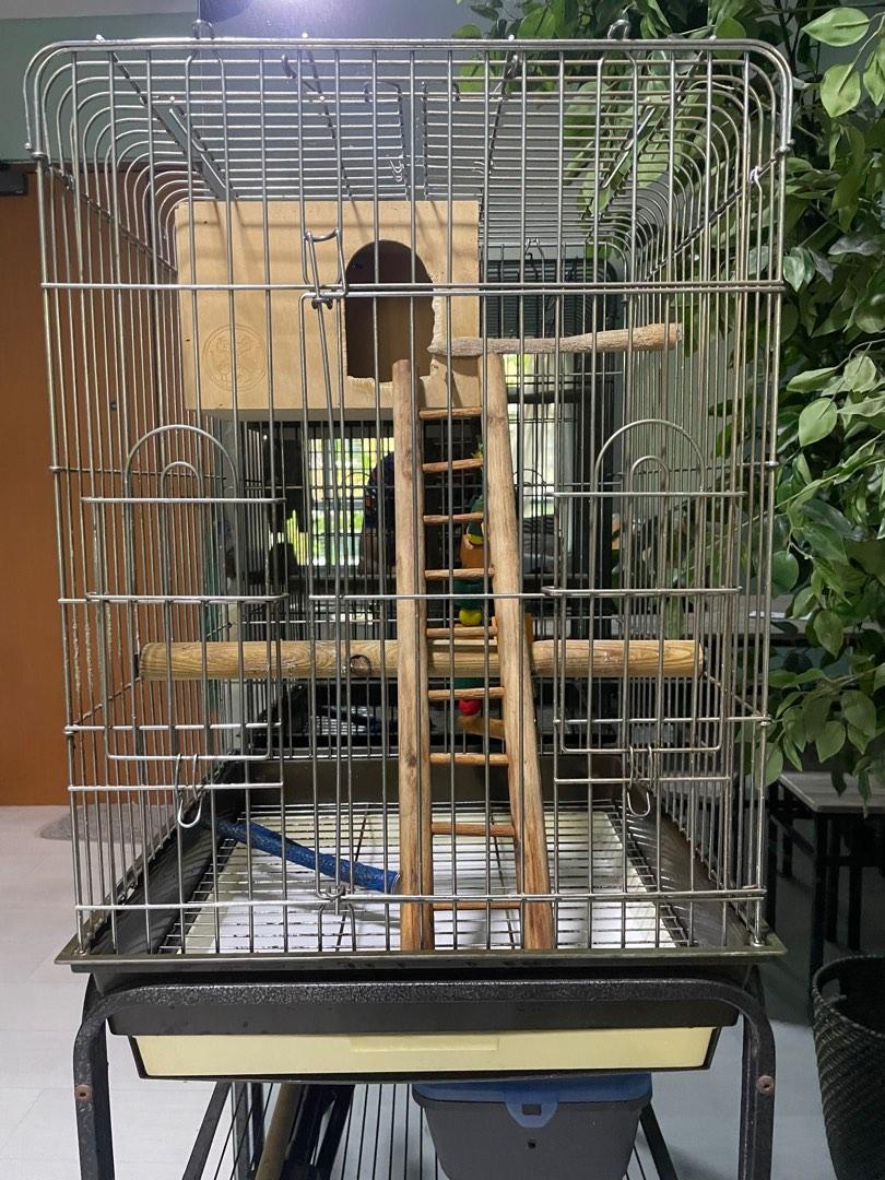 Opentop Stainless Steel Parrot cage with Pushcart + giveaways, Pet ...