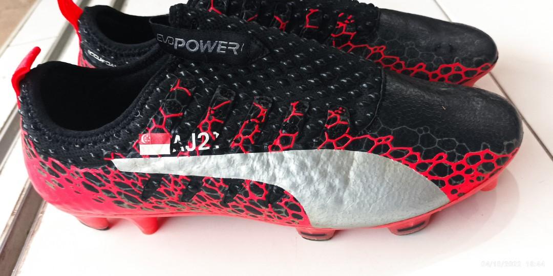 Puma evopower 1.1 2025
