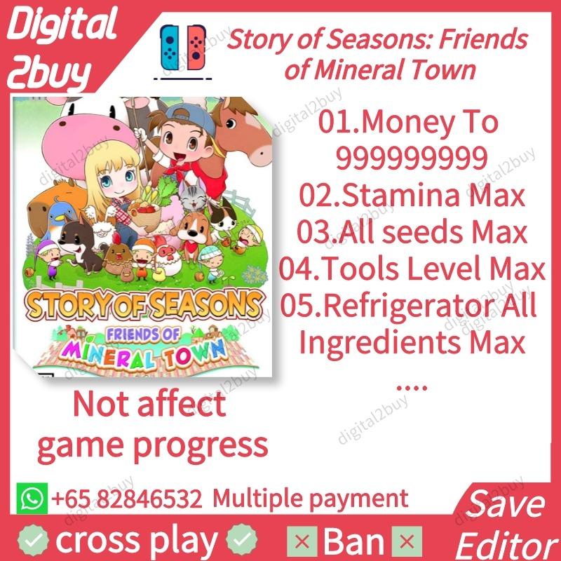 Story of Seasons Friends of Mineral Town Save Editor SOSFOMT Save