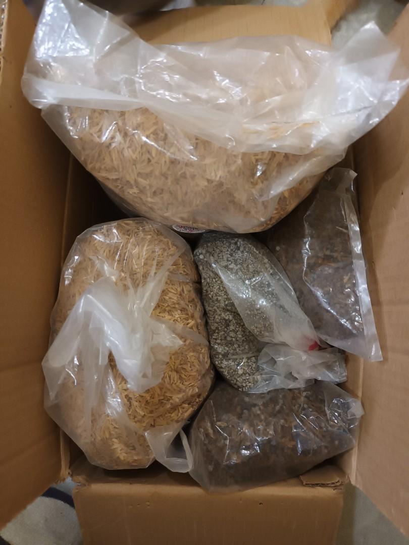 Tofu cat litter, bentonite sand and rice hulls, Pet Supplies, Homes