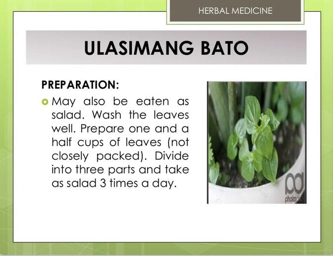 Ulasimang bato/Pansit-pansitan live plant/anti-Arthritis plant