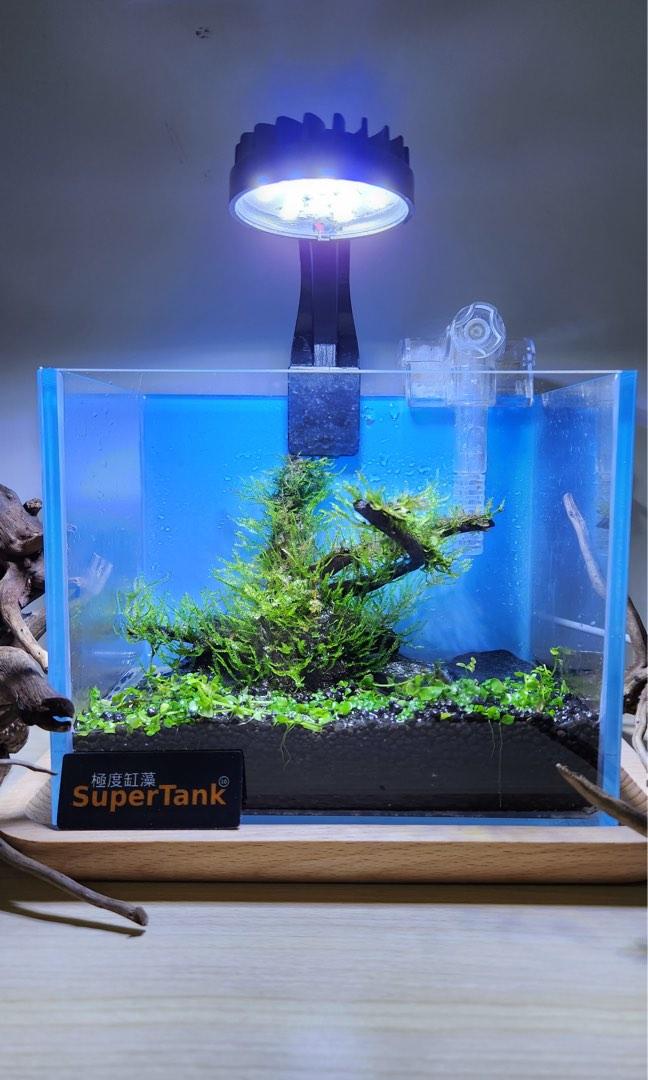 16x10x13cm 小型桌面水草魚缸 全套連造景 Led燈 過濾器 日式木托盤 4件工具 換水泵 魚網 水草鉗 溫度計 小營養液 Aquascape Nano Fish Tank 生態缸自然缸草缸風水缸擺設懶人魚缸可養魚蝦