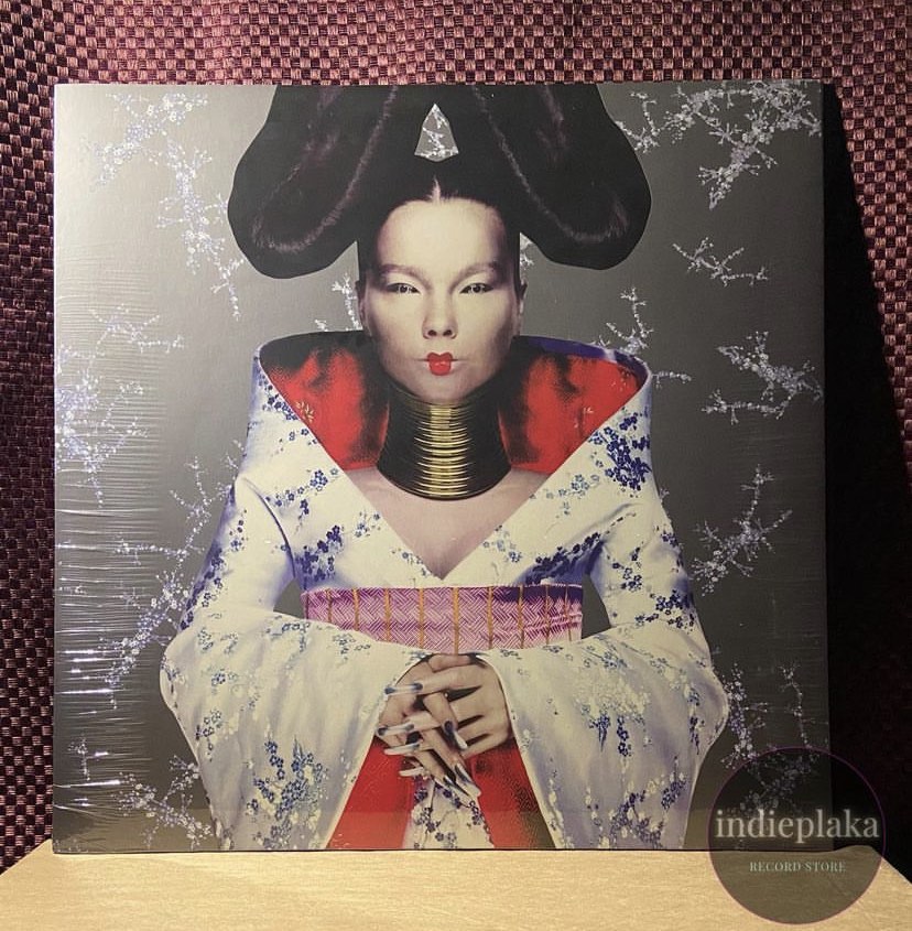 Bjork Homogenic