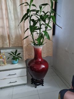 (Category: ) located in . Submitted by khristal (Listing ID 1188966067, Image 1). Description: .